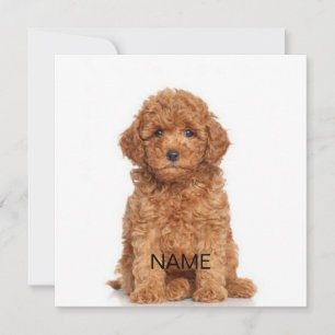 Customize personalize with photo & name note card