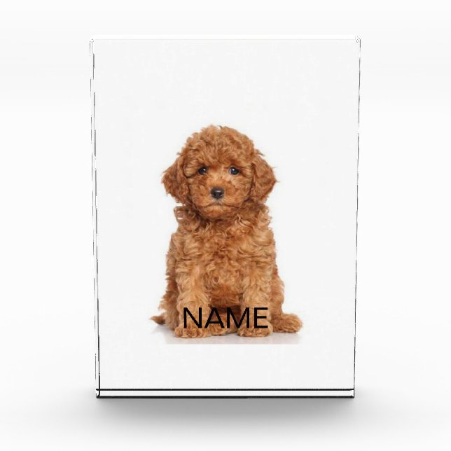 Customize personalize with photo, name photo block (Front)