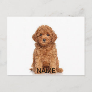 Customize personalize with photo & name postcard