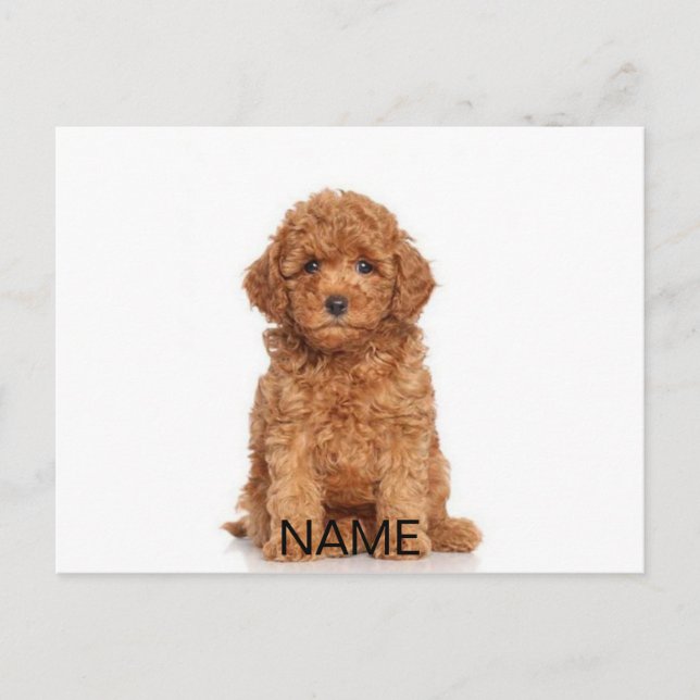 Customize personalize with photo & name postcard (Front)
