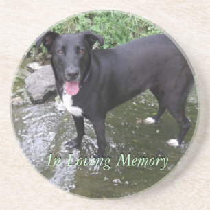 customize personalized photo sandstone coaster