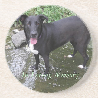 customize personalized photo sandstone coaster