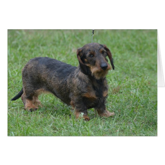 Customize Product (Front Horizontal)