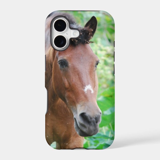 Customize Product (Back)