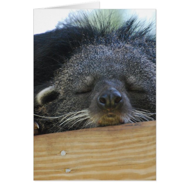 Customize Product (Front)