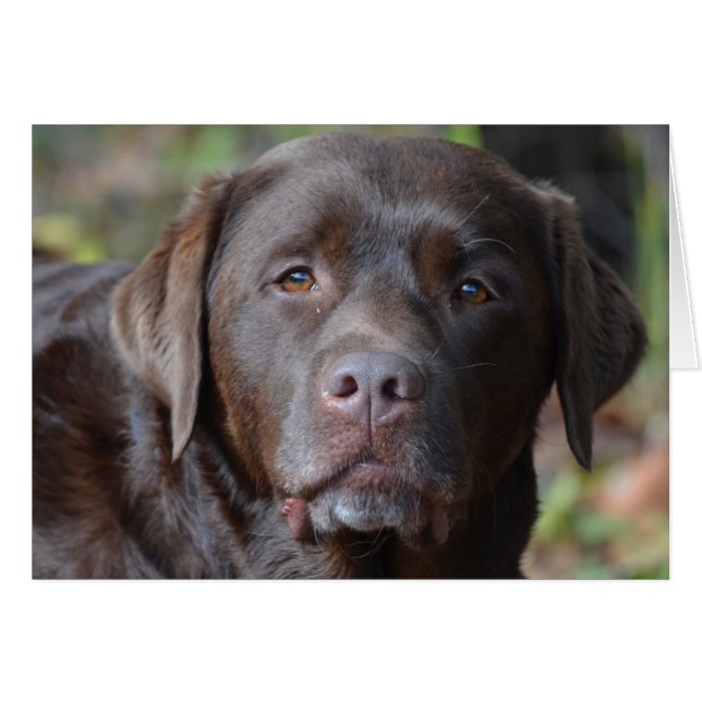 Customize Product (Front Horizontal)