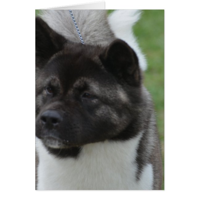 Customize Product (Front)