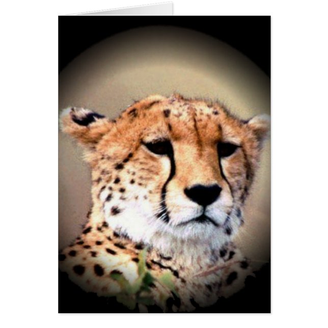 Customize Product (Front)