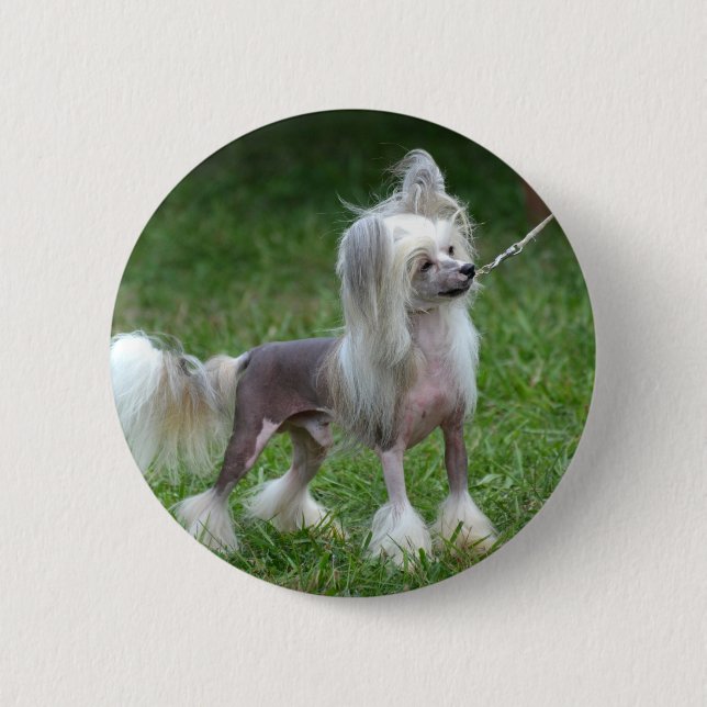 Customize Product 2 Inch Round Button (Front)