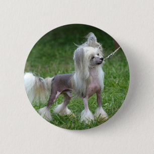 Customize Product 2 Inch Round Button