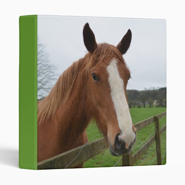 Customize Product Binder (Front/Spine)