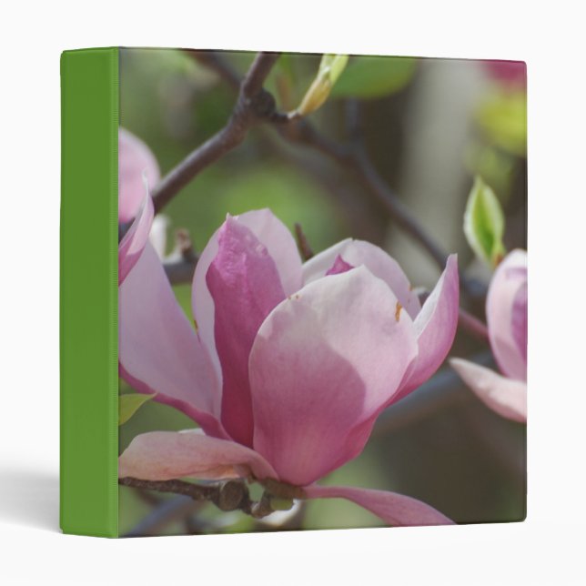 Customize Product Binder (Front/Spine)