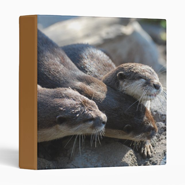 Customize Product Binder (Front/Spine)