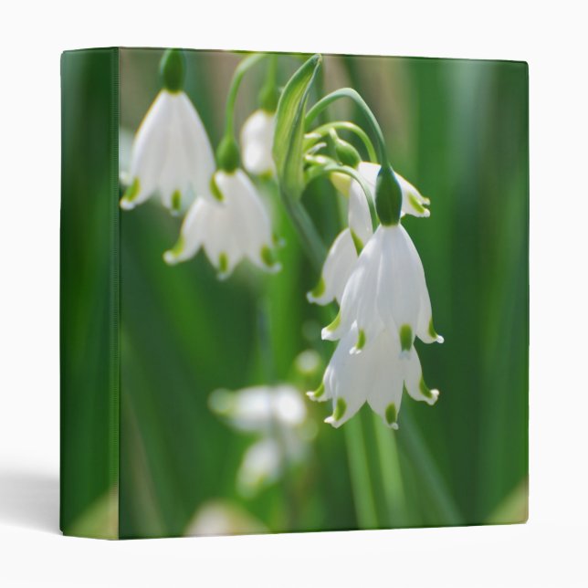 Customize Product Binder (Front/Spine)