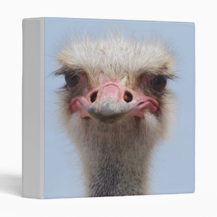Customize Product Binder