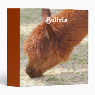 Customize Product Binder