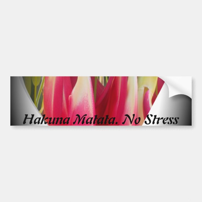Customize Product Bumper Sticker (Front)