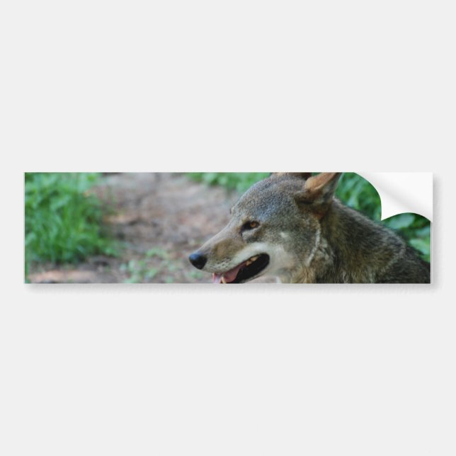 Customize Product Bumper Sticker (Front)
