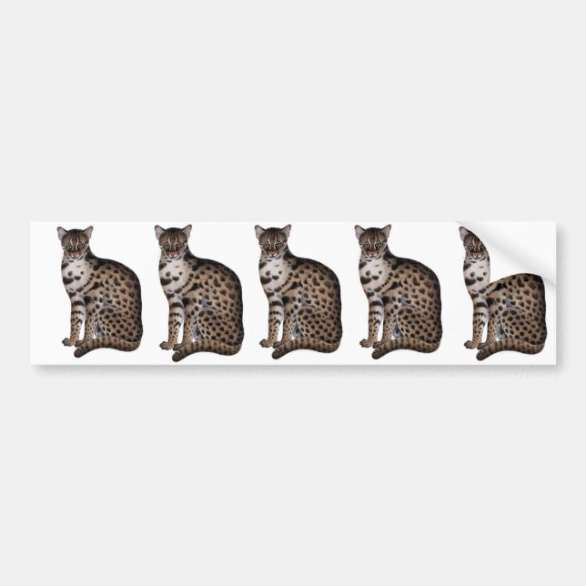 Customize Product Bumper Sticker (Front)