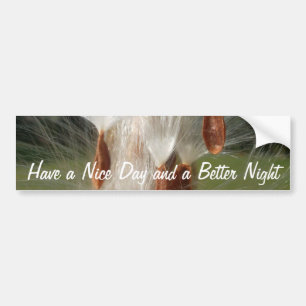 Customize Product Bumper Sticker