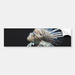 Customize Product Bumper Sticker