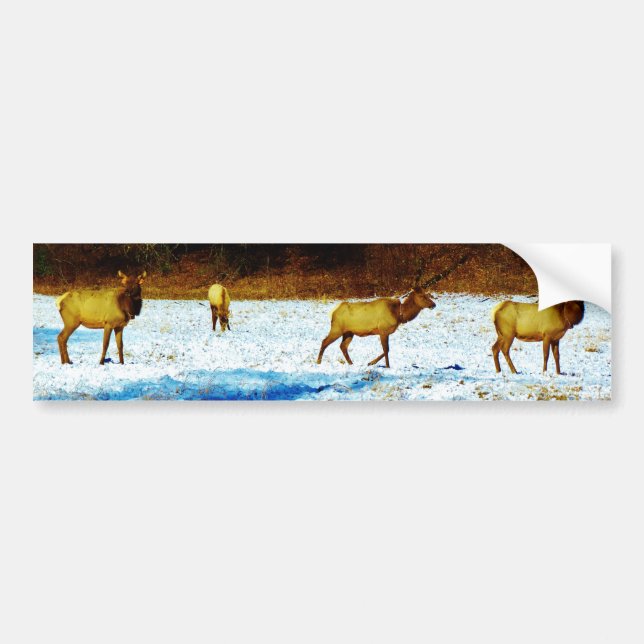 Customize Product Bumper Sticker (Front)