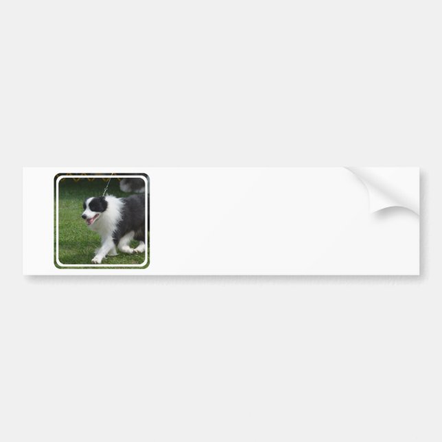 Customize Product Bumper Sticker (Front)
