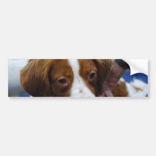 Customize Product Bumper Sticker