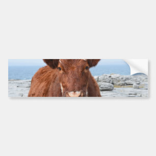 Customize Product Bumper Sticker