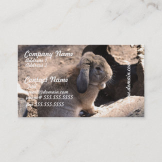 Customize Product Business Card