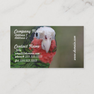 Customize Product Business Card