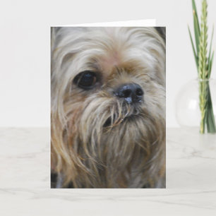 Customize Product Card