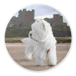 Customize Product Ceramic Knob