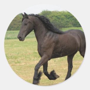 Customize Product Classic Round Sticker