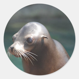 Customize Product Classic Round Sticker