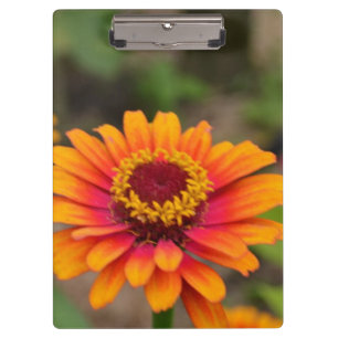 Customize Product Clipboard