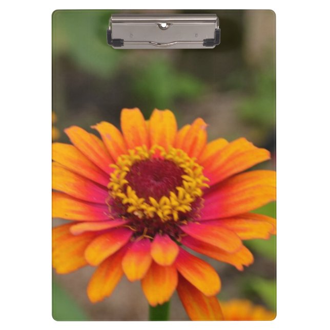 Customize Product Clipboard (Front)