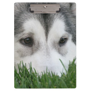 Customize Product Clipboard
