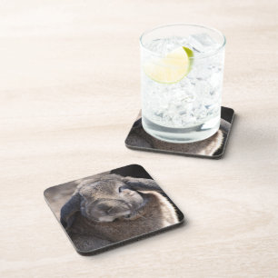 Customize Product Coaster