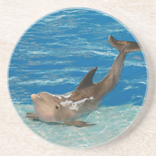 Customize Product Coaster