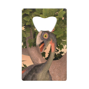 Customize Product Credit Card Bottle Opener