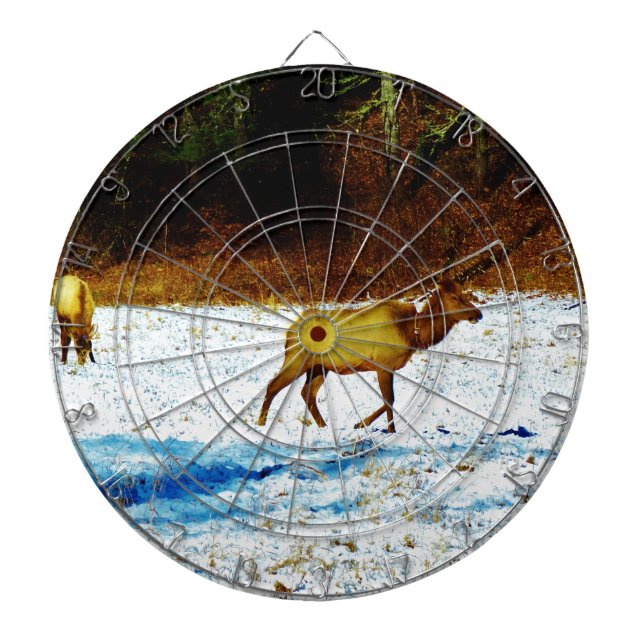 Customize Product Dartboard (Front)