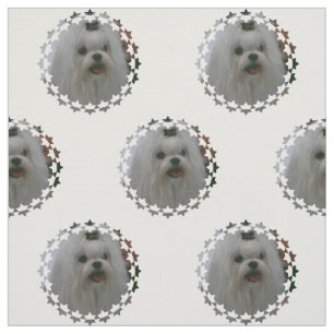 Customize Product Fabric