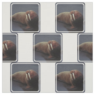 Customize Product Fabric