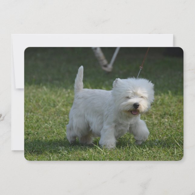 Customize Product Invitation (Front)