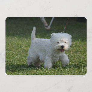 Customize Product Invitation