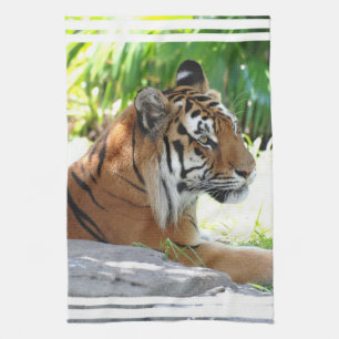 Customize Product Kitchen Towel