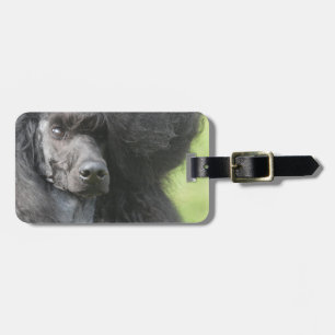 Customize Product Luggage Tag