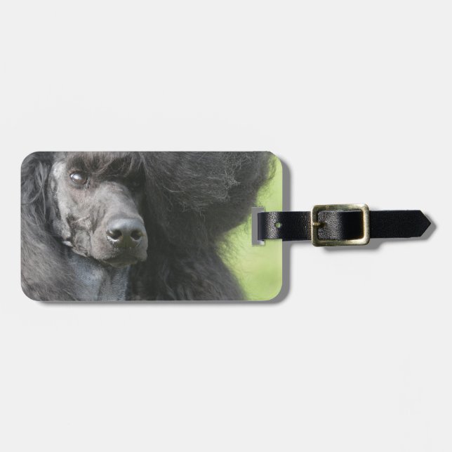 Customize Product Luggage Tag (Front Horizontal)