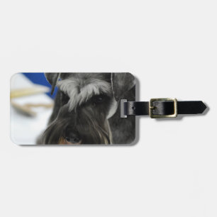 Customize Product Luggage Tag